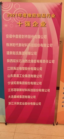 2021年度橡膠制品行業十強企業