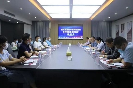 專利導(dǎo)航助力西平縣塑膠產(chǎn)業(yè)轉(zhuǎn)型升級