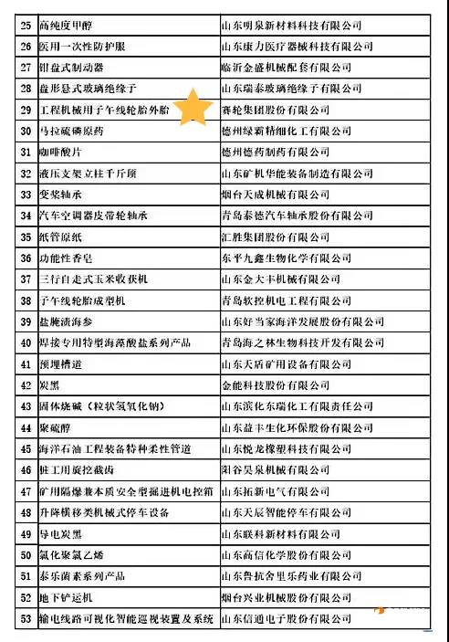 賽輪集團“工程機械用子午線輪胎外胎”榮獲山東省制造業單項冠軍