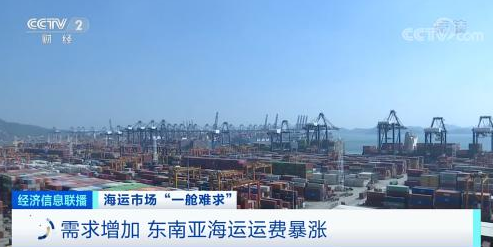 浙江寧波某國際物流有限公司總經理 陳陽
