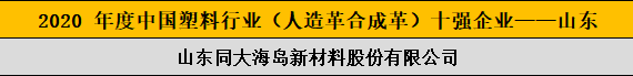 2020 年度中國塑料行業（人造革合成革）十強企業——山東