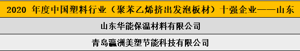 2020 年度中國塑料行業（聚苯乙烯擠出發泡板材）十強企業——山東