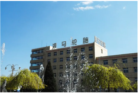 公司全年實現銷售收入28.8億元，年產量358萬套，年銷量350萬套，產銷量均創建廠以來的最高紀錄。