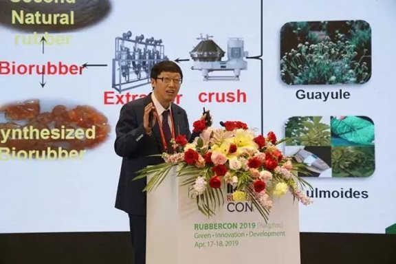 張立群老師在rubbercon國際會議上做大會報告