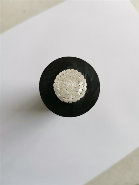 產(chǎn)品的出現(xiàn)填補了貴州市場空白