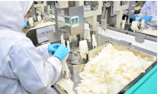 5.馬來西亞橡膠業(yè)重新啟用外國勞工