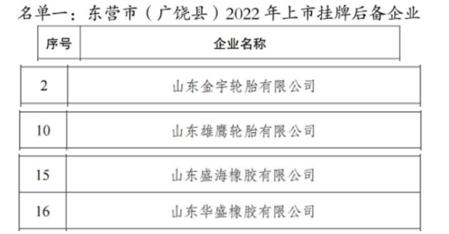 東營4大輪胎，排隊上市！