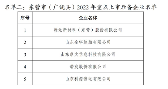 2022年重點上市后備企業名單，其中包括金宇輪胎。
