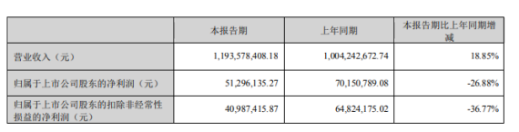 橡塑企業道恩股份分布第一季度報告