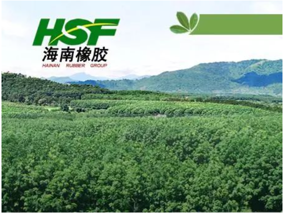 公司在不具有商業(yè)實質(zhì)的情況下進行會計處理，導(dǎo)致多期年度報告財務(wù)信息披露不真實，違反了多項規(guī)定。