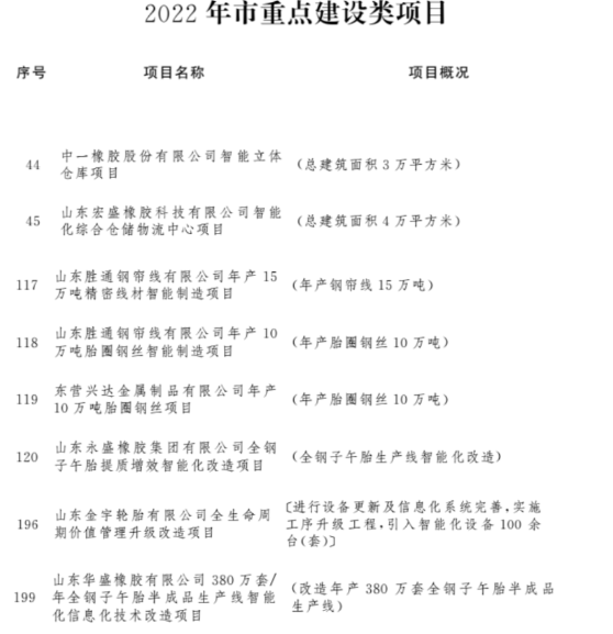 9個輪胎及行業相關項目