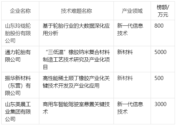 輪胎項目攻關，5000萬元邀您揭榜！