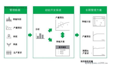 普利司通利用大數據優化橡膠樹種植，助力橡膠園增產