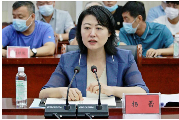 邢臺市任澤區委書記楊蕾等區委、區政府領導，陪同專家組調研了河北省重點特色產業集群——任澤區橡塑材料產業集群