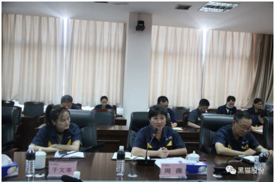 本次兩化融合管理體系貫標啟動大會的召開，標志著黑貓股份兩化融合工作開啟了新的征程