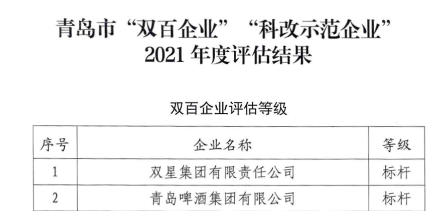 10.雙星集團，全國國企改革“雙百企業”標桿!