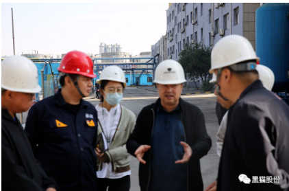趙偉就烏海黑貓公司概況、發展規劃及生產經營情況向調研組進行匯報。