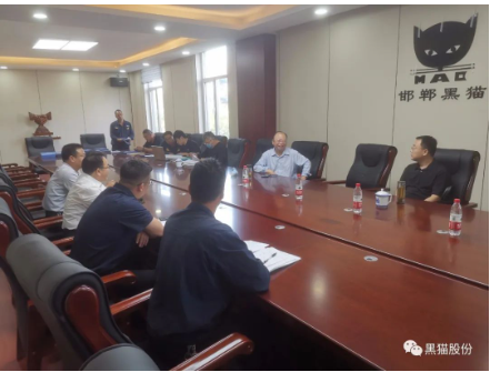 河北省第十一督導組到邯鄲黑貓督導檢查特種設備安全工作