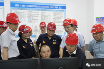 羅盛金一行調研指導黑貓集團環保工作