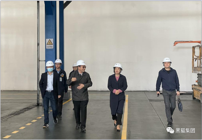 余立新一行到青島黑貓研究院調研指導工作