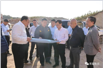 林衛春一行調研督導黑貓集團精細化工項目建設
