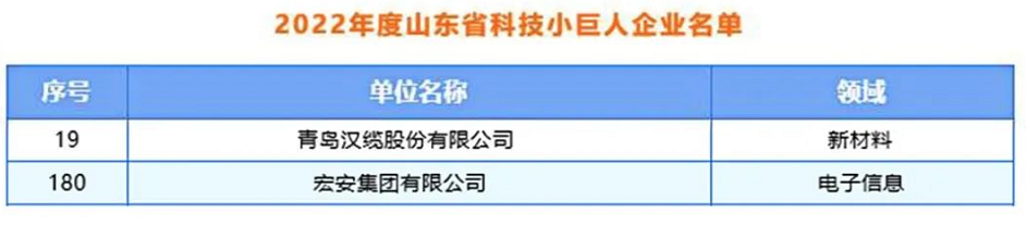 青島漢纜股份、宏安集團入選2022年度山東省科技領軍企業名單