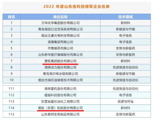 賽輪集團入選2022年度山東省科技領軍企業