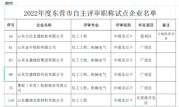 職稱自主評審，5家輪胎企業試點！