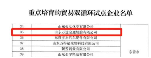 萬達寶通輪胎公司入選山東省重點培育貿易雙循環試點企業