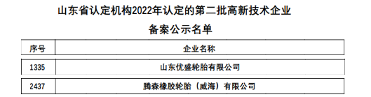 最新：六家輪胎入選高新企業(yè)！