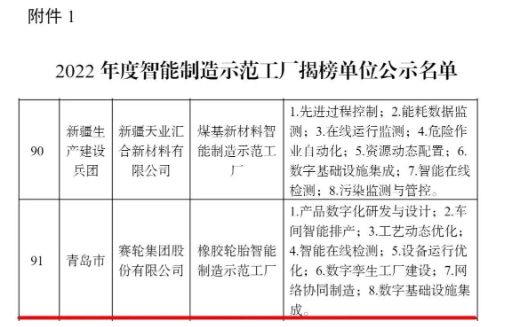 賽輪集團，上榜國家級名單
