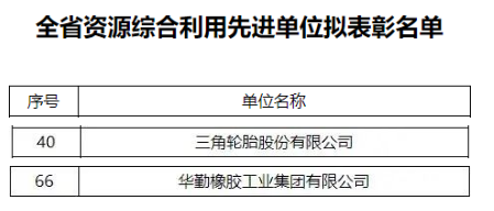 輪胎 輪胎