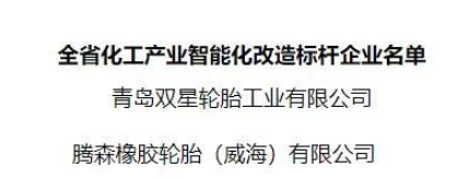 青島雙星輪胎工業(yè)有限公司 青島雙星輪胎工業(yè)有限公司