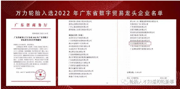 萬力輪胎入選廣東省數字貿易龍頭企業