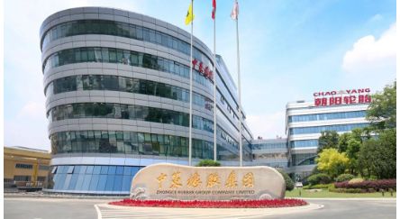 中策橡膠集團股份有限公司申報的項目 中策橡膠集團股份有限公司申報的項目