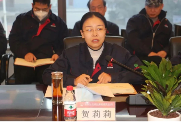 賀莉莉總結：