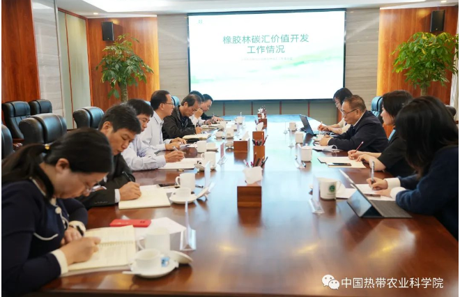 中國天然橡膠協會、國家天然橡膠產業技術體系海口站組織開展產業調研
