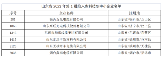 其中，東營市華東線纜集團(tuán)有限公司、臨沂沂光電纜有限公司、山東鷹聯(lián)光電科技股份有限公司、山東泰瑞豐新材料有限公司、山東無棣海豐電纜有限公司、煙臺鑫泰電纜有限公司等多家電線電纜企業(yè)進(jìn)入山東省2023年第1批擬入庫科技型中小企業(yè)名單。