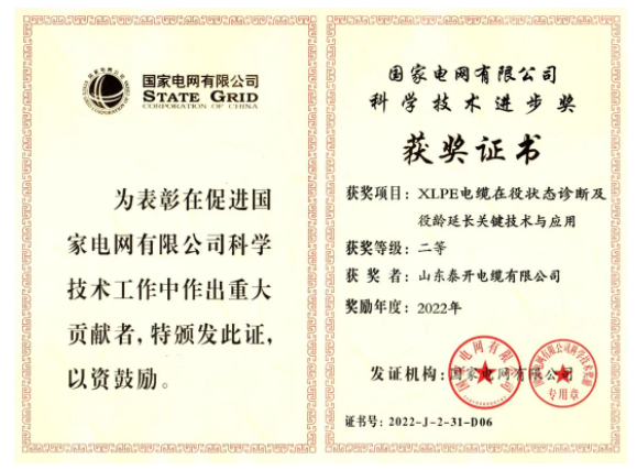 山東泰開電纜有限公司憑借其“XLPE電纜在役狀態(tài)診斷及役齡延長關(guān)鍵技術(shù)與應(yīng)用”項目，獲得了國家電網(wǎng)有限公司的“科學(xué)技術(shù)進(jìn)步獎”，這是對該公司近年來高質(zhì)量發(fā)展的充分肯定。