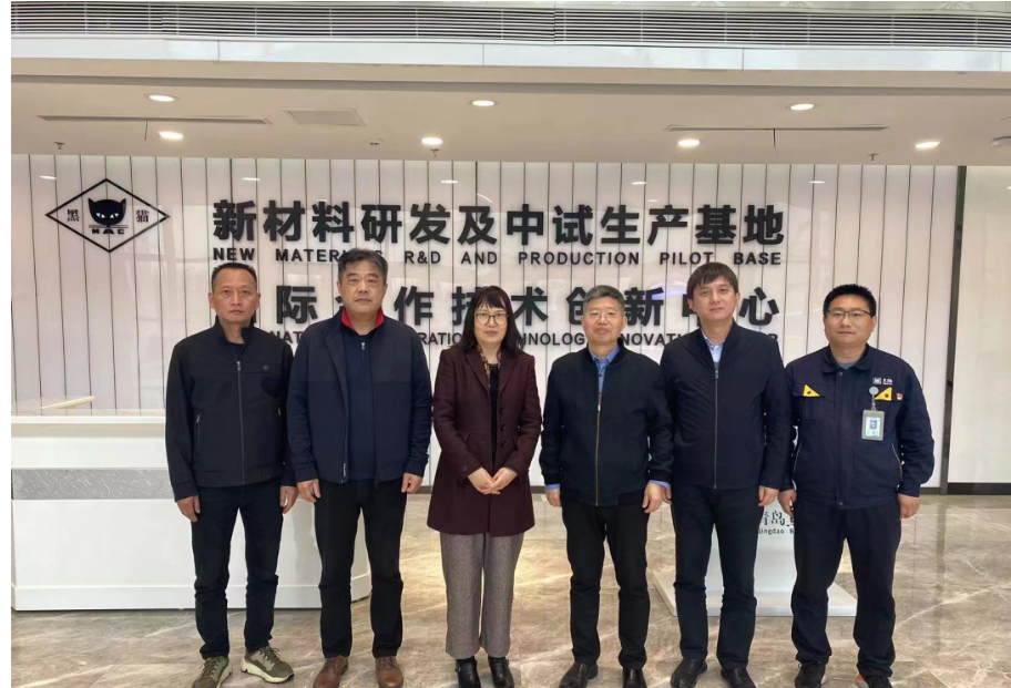 中國橡膠工業協會炭黑協會秘書長丁麗萍、中昊黑元化工研究設計院王家貴院長一行考察了青島黑貓研究院。黑貓股份黨委副書記、總經理魏明陪同考察組一同參觀了中試車間、黑貓文化展廳、研發中心及產學研中心。