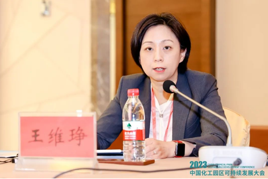 卡博特副總裁、中國區董事總經理及功能性補強材料中國區業務總監王維琤女士