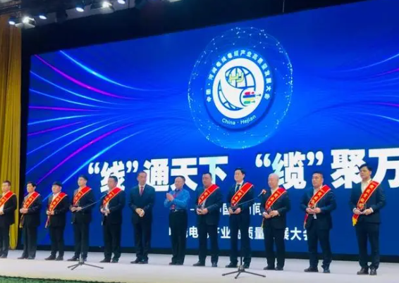 大會(huì)還頒發(fā)了“河間電線電纜產(chǎn)業(yè)突出貢獻(xiàn)獎(jiǎng)”、“河間電線電纜產(chǎn)業(yè)銷售明星獎(jiǎng)”，常豐線纜有限公司、華旗線纜有限公司、滄州會(huì)友線纜股份有限公司等10家企業(yè)獲得突出貢獻(xiàn)獎(jiǎng)，竇義昌、宋福生、趙博娟等15人獲得銷售明星獎(jiǎng)。此外，會(huì)上播放了“河間電線電纜產(chǎn)業(yè)專題片”，講述河間電線電纜發(fā)展史、產(chǎn)業(yè)總體情況、企業(yè)產(chǎn)品、未來(lái)發(fā)展等。