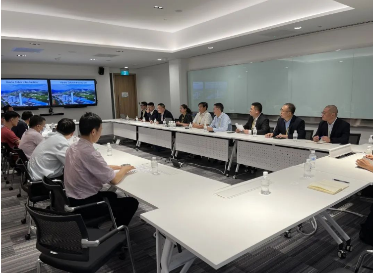 漢河集團董事長張大偉率隊訪問SP Group，推進兩國電纜行業合作