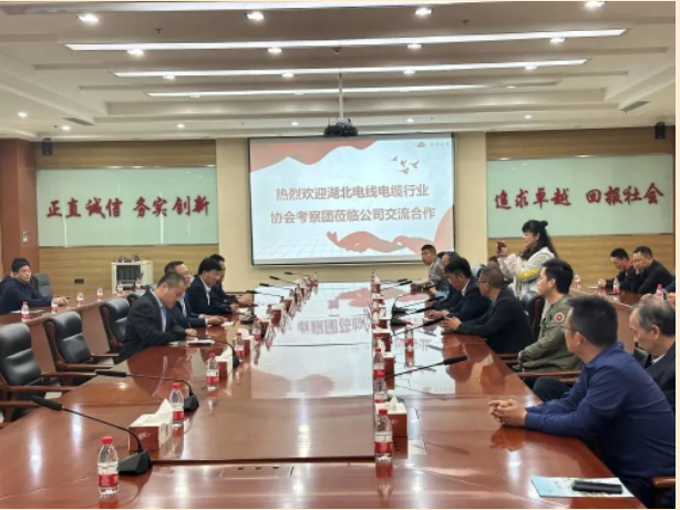 山東泰開電纜有限公司總經理張愛華陪同下，交流團一行人參觀了集團展廳，詳細了解集團的發展歷程、經營理念、科研創新、核心零部件等情況，同時考察了集團下屬高壓、電纜制造現場。在座談會上，雙方就技術研發、生產管理、質量控制、員工獎勵等方面的問題進行了友好互動交流。