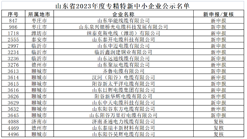 這些企業涉及多個領域，包括電纜制造、新材料、建材等。入選企業中，山東華能線纜有限公司、山東泉興銀橋光電纜科技發展有限公司、紐泰克斯電線(濰坊)有限公司等電線電纜企業榜上有名。