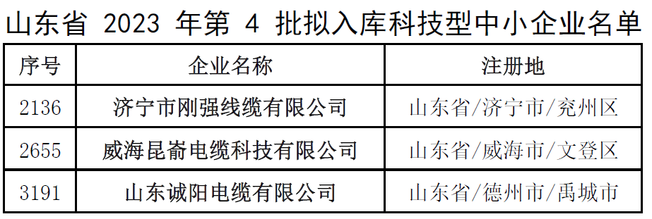 此次入庫名單的公示將為這些企業帶來更多的發展機遇和資源支持，同時也為其他科技型中小企業樹立了榜樣。