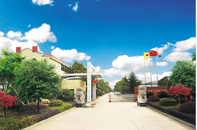 這次行政處罰是湖南省常德市武陵區應急管理局針對該公司的違法行為采取的措施之一。處罰金額為9萬元，旨在敦促湖南雙獅橡膠制品有限責任公司加強對安全生產的管理和規范，確保生產過程中的安全性。