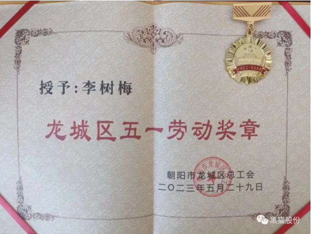 李樹梅同志在她的工作崗位上展現出了杰出的能力和卓越的業績。作為公司中層干部，她始終將公司利益置于首位，并不斷提升自己的專業水平。她通過努力學習，先后取得了管理學和工學學士學位，并獲得了經濟師、機電工程師、電子工程師和化工助理工程師等多個職業資格證書。在她的帶領下，市級職工職業技能培訓基地得以成立，為公司培養了更多的技術人才。