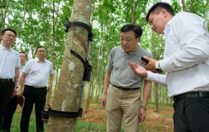 據了解，天然橡膠作為國家重要的戰略物資和工業原料，也是膠農收入的重要來源。海南作為我國重要的天然橡膠生產和加工基地，馮飛書記指出，海南合勝橡膠科技有限公司和相關科研單位應始終懷揣著"國之大者"的情懷，堅定發展信心，聚焦海南天然橡膠全產業鏈發展，致力于打破產業鏈發展中的阻礙，推動海南天然橡膠產業高質量發展，確保國家天然橡膠供給的安全。