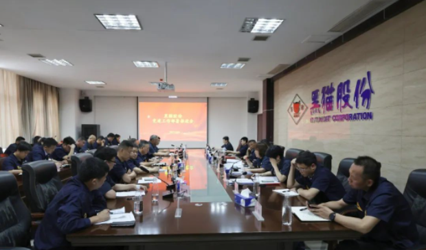 黑貓股份召開(kāi)了基層黨建工作部署推進(jìn)會(huì)，旨在進(jìn)一步強(qiáng)化黨對(duì)公司及各單位發(fā)展的引領(lǐng)作用。黑貓股份黨委副書記、董事長(zhǎng)、總經(jīng)理魏明以及黨政領(lǐng)導(dǎo)班子成員出席了會(huì)議，會(huì)議由公司黨委專職副書記周芝凝主持。
